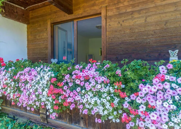 Apartment Johanna Und Sonja *